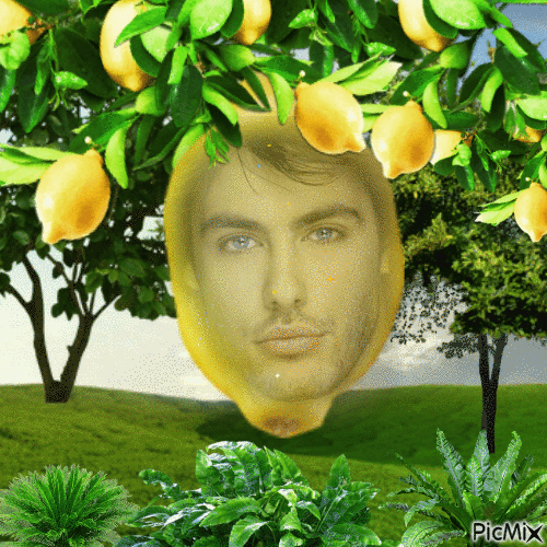 Man in a Lemon - Free animated GIF