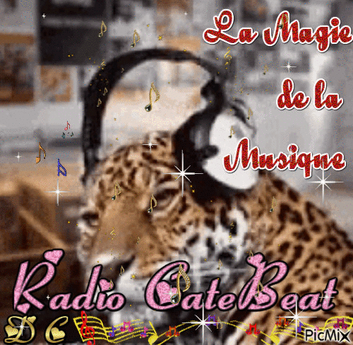 Radio CatBeat - 免费动画 GIF