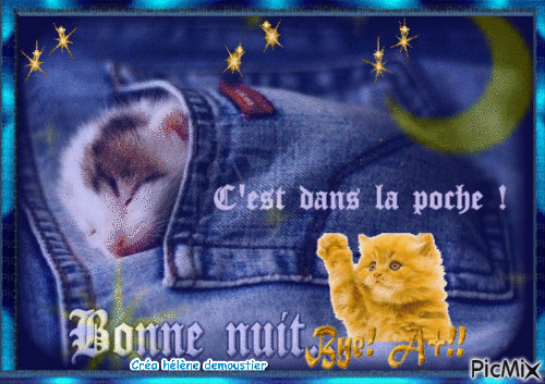 HD chats bonne nuit - Δωρεάν κινούμενο GIF