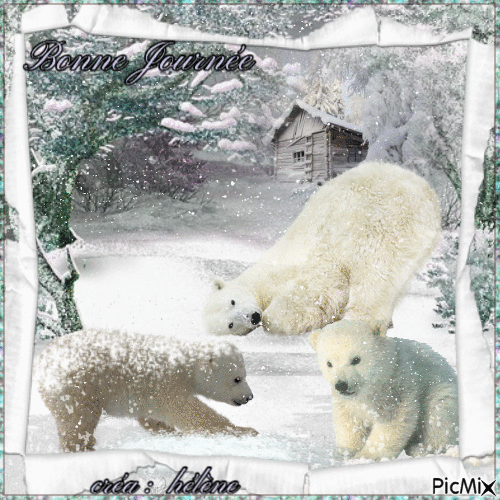 Ours blancs sous la neige - Δωρεάν κινούμενο GIF