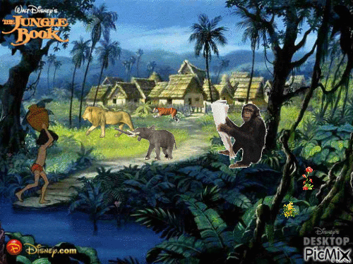 Jungle - Nemokamas animacinis gif