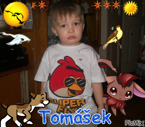 Tomášekgjj - Besplatni animirani GIF