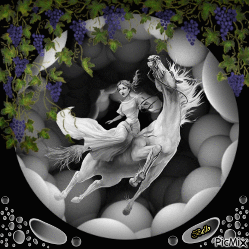 Chevale blanc - Ingyenes animált GIF