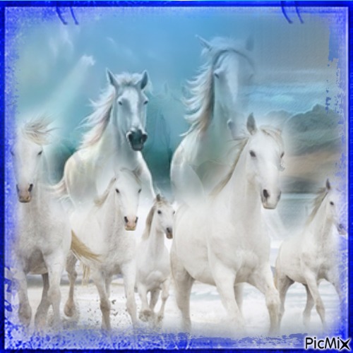 la beauté des chevaux sauvage - 無料png