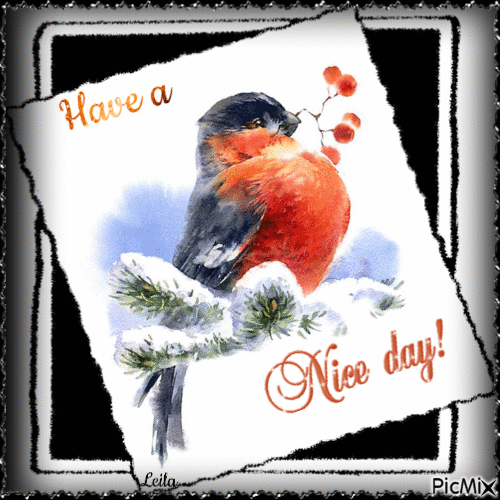 Winter. Have a Nice Day. Bird - 無料のアニメーション GIF