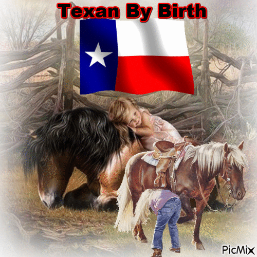 Texan By Birth - Free animated GIF