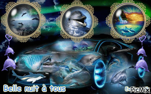 dolphincar - Free animated GIF