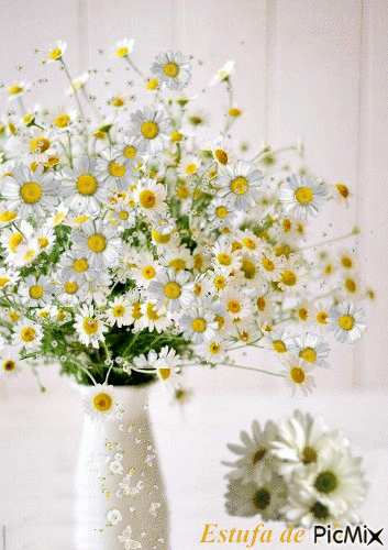 Estufa de Flores 🌸🌸 - Besplatni animirani GIF