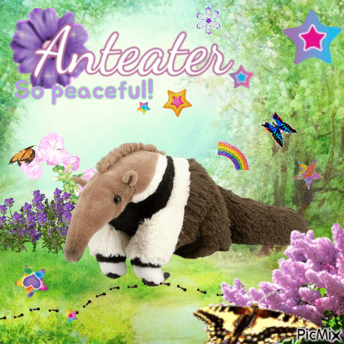 Anteater - GIF animasi gratis
