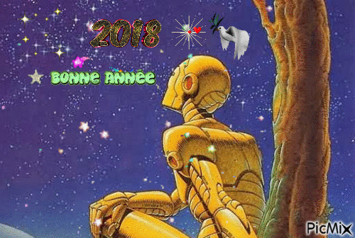 BONNE ANNEE 2018 - 無料のアニメーション GIF