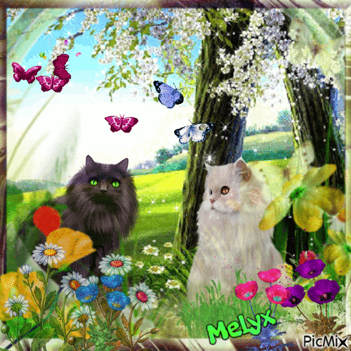 Flowers and the cats - GIF animado grátis