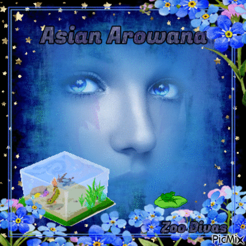Asian arowana - Бесплатный анимированный гифка