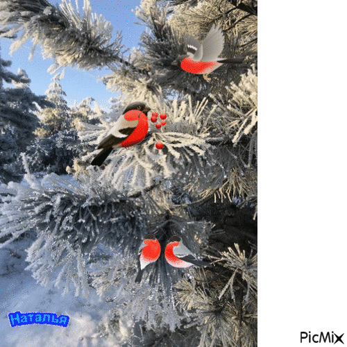 winter - Besplatni animirani GIF