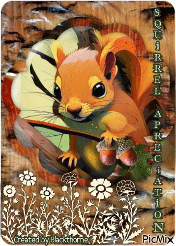 Squirrel Appreciation Day 1-21 - Ilmainen animoitu GIF