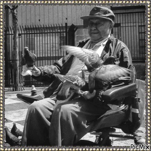 Sir with Pigeons - Darmowy animowany GIF