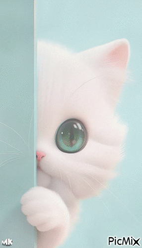 Se asoma un gato - GIF animado gratis
