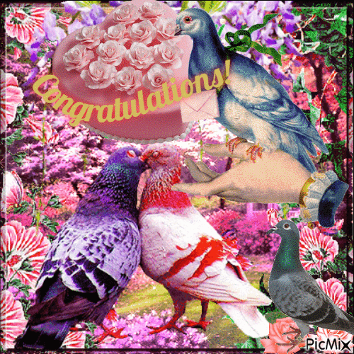 Congratulations card with cake and carrier pigeons - Animovaný GIF zadarmo