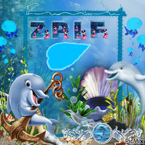 Excited Short beaked common dolphin - 無料のアニメーション GIF