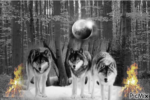 Wolf in the fire - png gratis