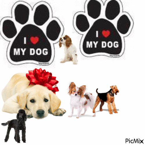 Gift for you it’s a dog - Бесплатни анимирани ГИФ