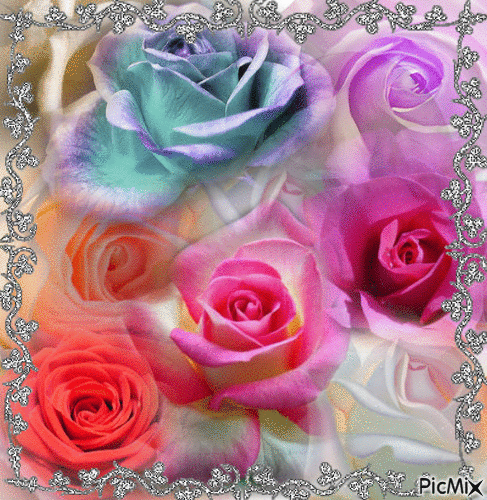 ROSES PINK, RED, DARK RED, WHITEROSES WHITE A WHITE FOG AROUND THEM, A DAISYBLUE AND YELLOW AN ORANGE FLOWER AND A PURPLE BACKGROUND, THE FRAME IS MULTIY COLORED IT IS THE ONLY MOVEMENT. - Bezmaksas animēts GIF