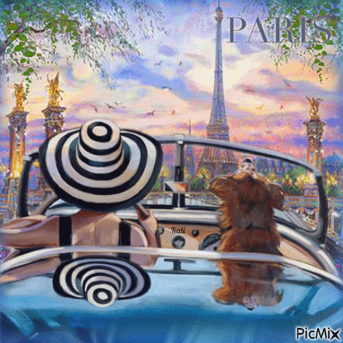 Woman in Paris - Free animated GIF