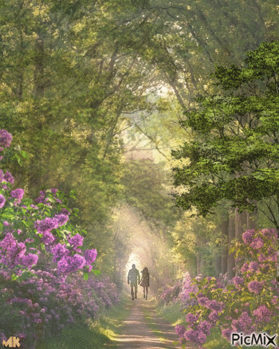 Romántico paseo - Free animated GIF