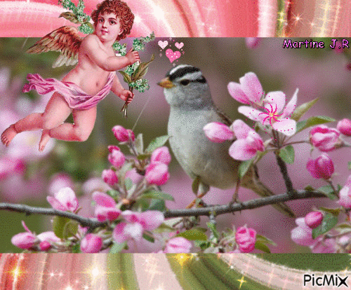 l'oiseau et l'angelot - GIF animé gratuit