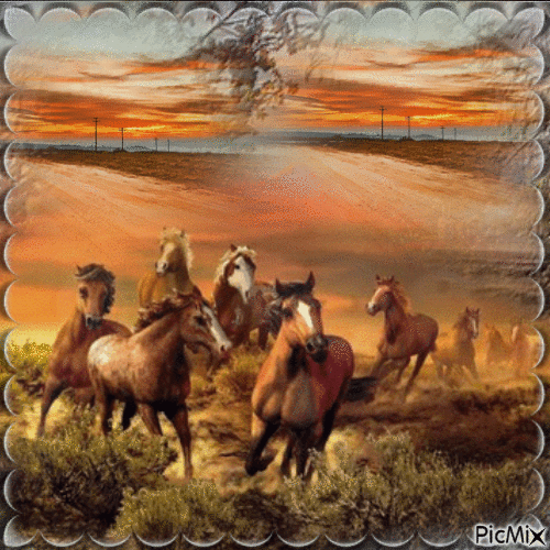 Les Chevaux - Free animated GIF