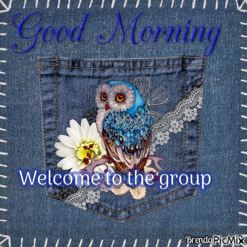 WELCOME OWL - kostenlos png