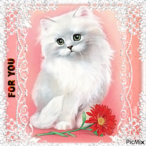 For You.... cat and flower - Безплатен анимиран GIF