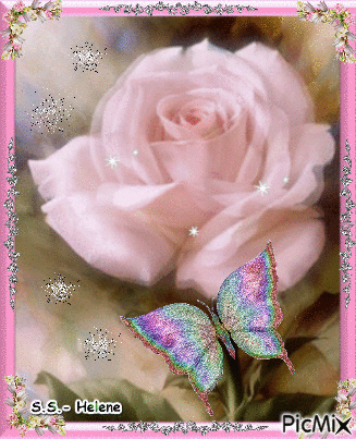Pink rose. - Besplatni animirani GIF
