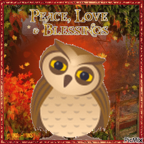 Autumn-fall-owl-blessins-love - Ilmainen animoitu GIF