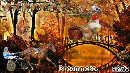 Le champion Dreammoko. - Free animated GIF