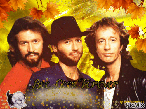 Bee Gees Love - Ingyenes animált GIF