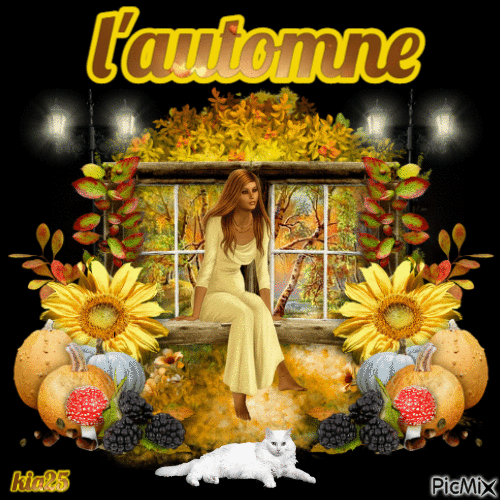 l'automne - Free animated GIF