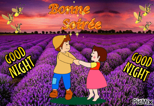 BONNE SOIREE - Nemokamas animacinis gif