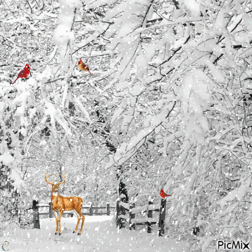 Beautiful Winter - Бесплатный анимированный гифка