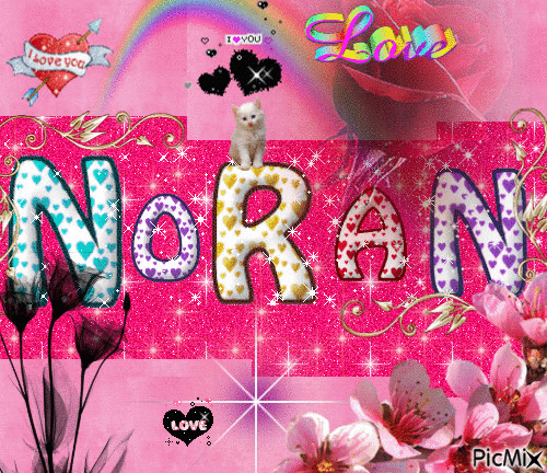 moi  je suis noran - Free animated GIF