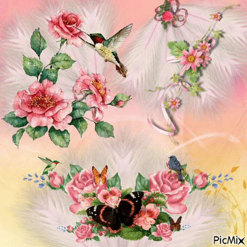fleurs et  plumes - Besplatni animirani GIF