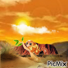 Australian Cuscus - Animovaný GIF zadarmo