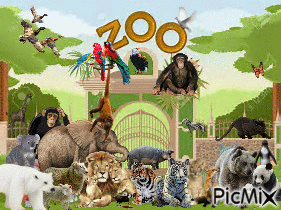 Zoo Days! - Бесплатни анимирани ГИФ