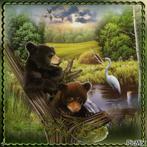 Little bears - Ingyenes animált GIF