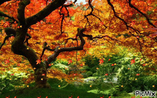 "La paysage d'automne" - GIF เคลื่อนไหวฟรี