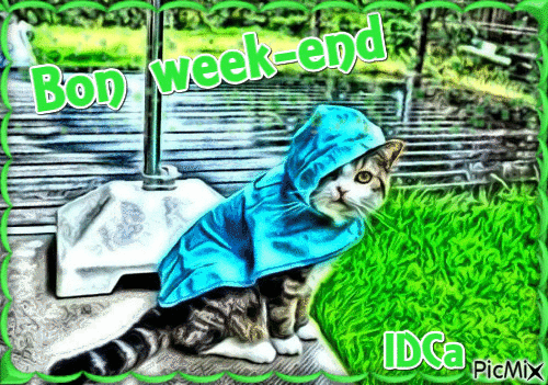 Bon week-end les chatons - Besplatni animirani GIF