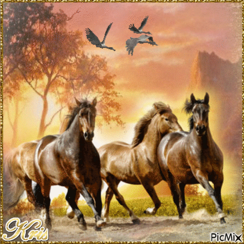 Horses in a gallop - GIF animé gratuit