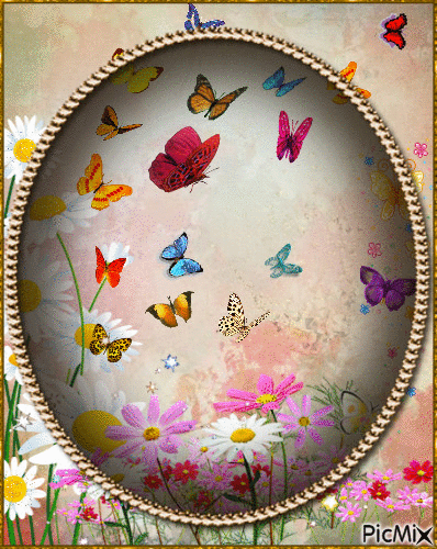 Papillons - Zdarma animovaný GIF