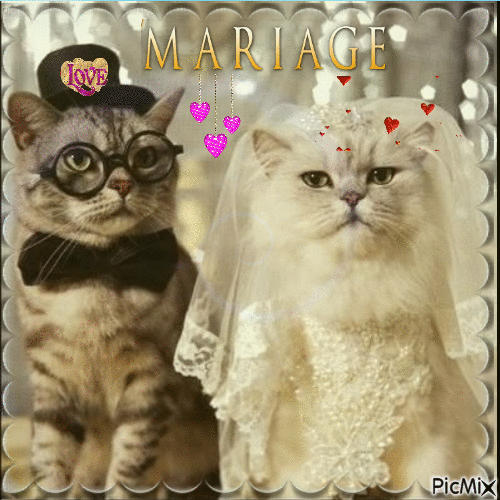 drôle mariage - Darmowy animowany GIF