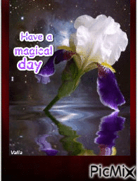 have a magical day - GIF animé gratuit