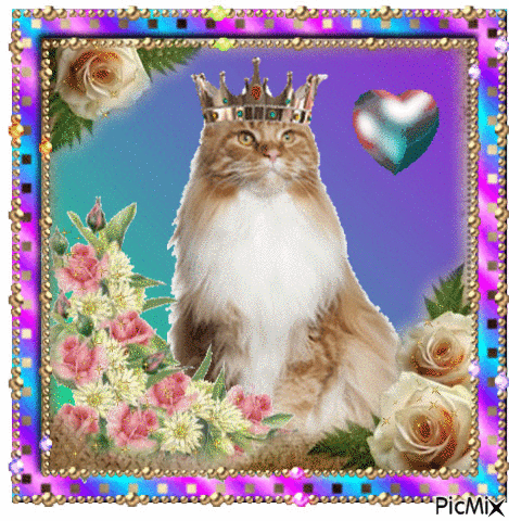 Cat with crown - GIF animate gratis